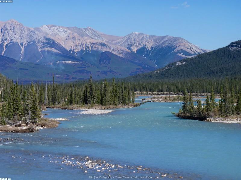 Guide complet de la location de voiture au Canada (2026) | Comment choisir entre Enterprise, Evo, Modo et Turo?