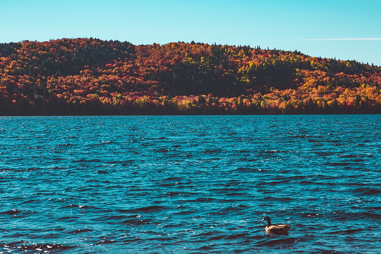 Couleurs d’automne en Ontario : les rapports de début septembre sont encore surtout verts