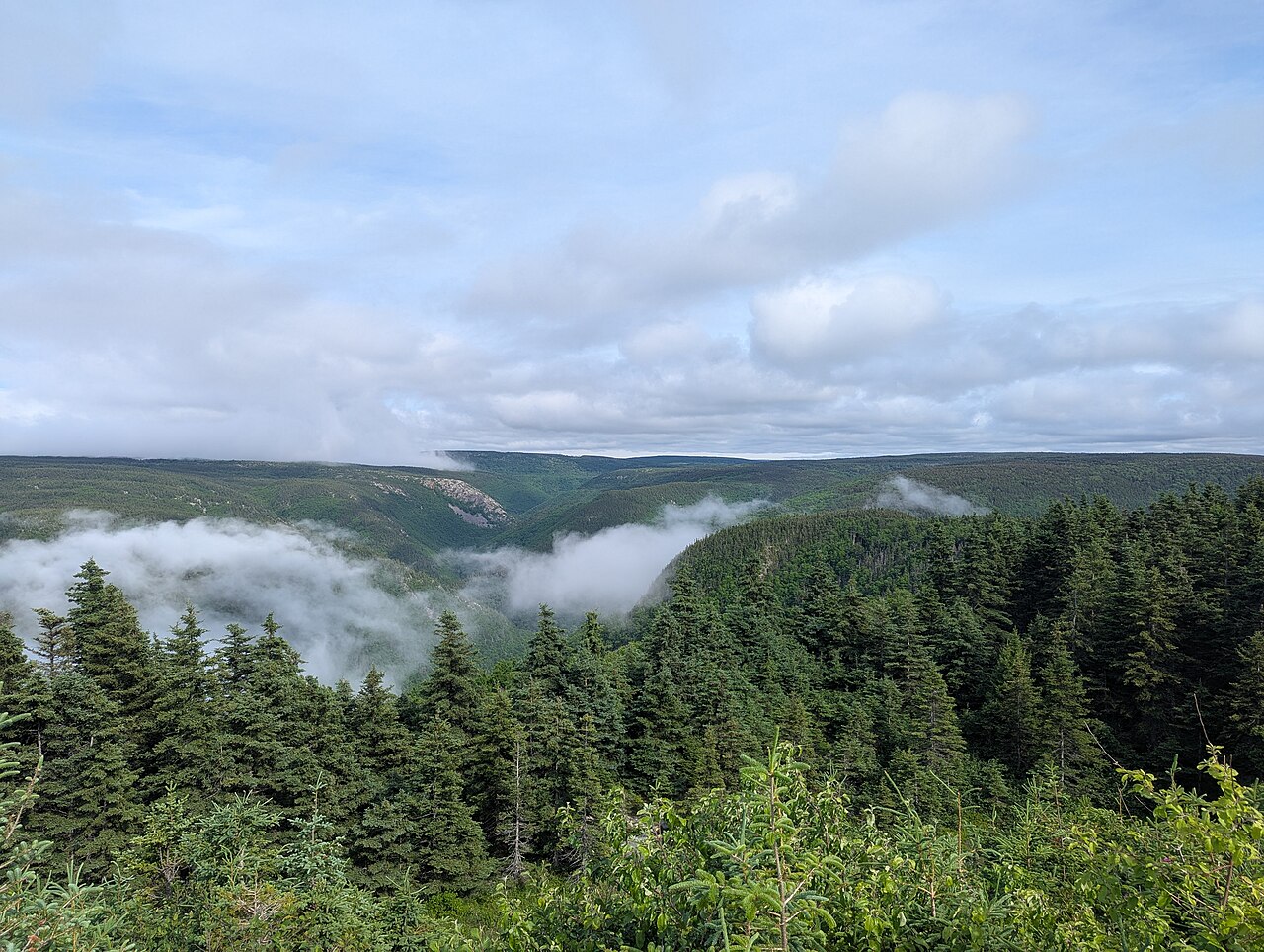 Valley in Cape Breton Highlands National Park seen from the Cabot Trail, photographed June 23, 2025